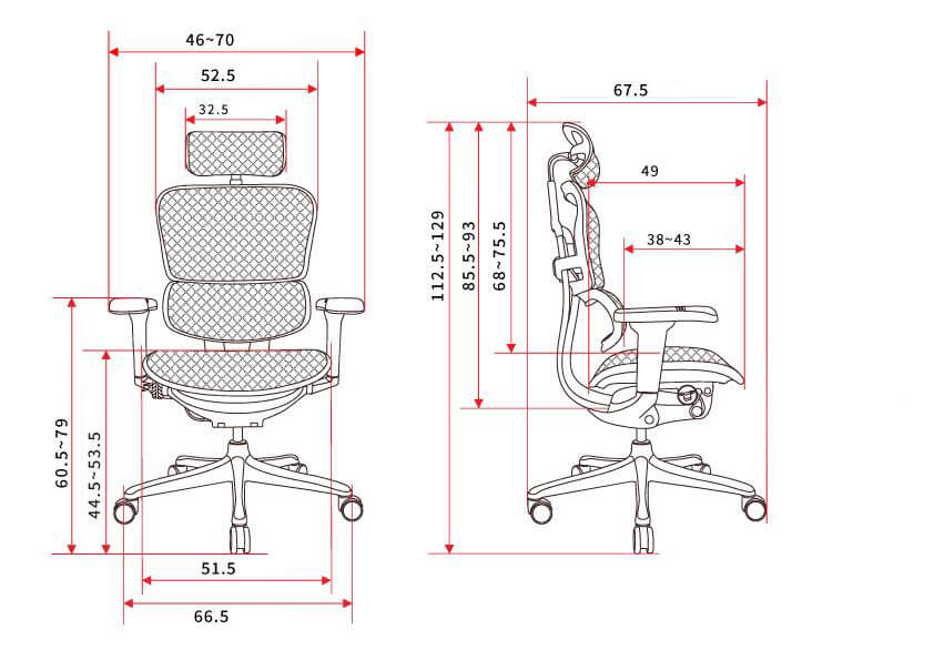 เก้าอี้เพื่อสุขภาพ DF PROCHAIR รุ่น Ergo Elite Ultra Plus สีเทา
